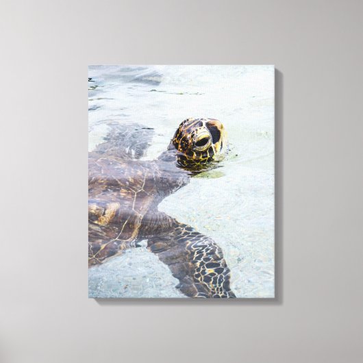 Honu Hawaiian Zee Turtle - Hawaii Turtles Canvas Afdruk (Voorkant)