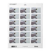 Honu Hawaiian Zee Turtle - Hawaii Turtles Etiket (Full Sheet)
