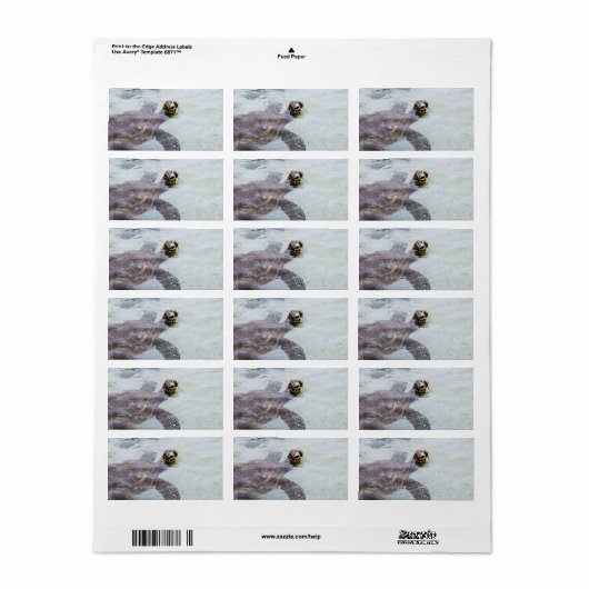 Honu Hawaiian Zee Turtle - Hawaii Turtles Etiket (Full Sheet)