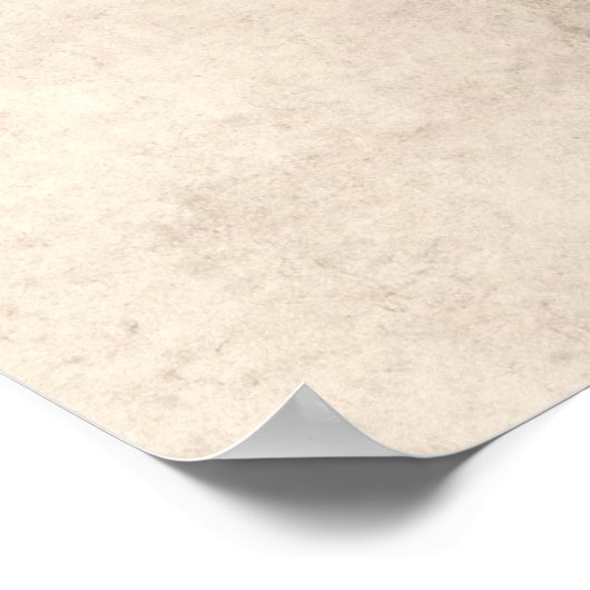 Honu Hawaiian Zee Turtle on  Parchment Poster (Hoek)