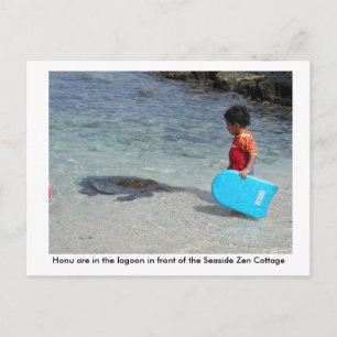 Honu in lagoon in front of Seaside Zen Cottage Briefkaart