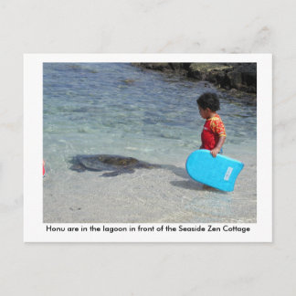 Honu in lagoon in front of Seaside Zen Cottage Briefkaart