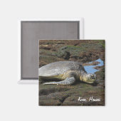 Honu Resting on the Warm Rocks Magneet (Voorkant / Achterkant)