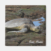 Honu Resting on the Warm Rocks Magneet (Voorkant)