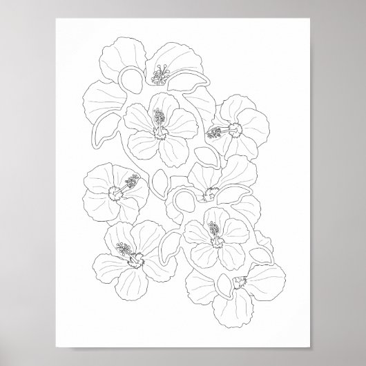 Honu Turtles Adult Coloring Poster (Voorkant)