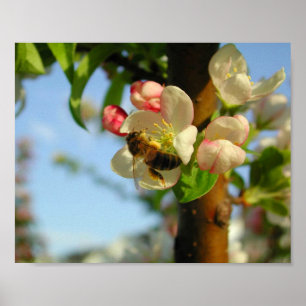 Honyebee 8x10 poster