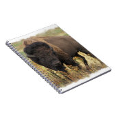 Hood Bison notebook Notitieboek (Rechterzijde)
