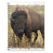 Hood Bison notebook Notitieboek (Voorkant)