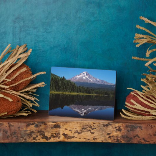 Hood in het meer fotoplaat (Zijkant)