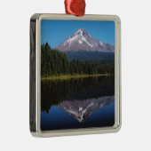 Hood in het meer metalen ornament (Rechts)