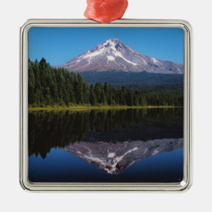 Hood in het meer metalen ornament