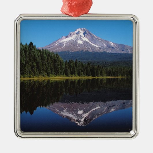 Hood in het meer metalen ornament (Voorkant)