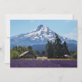 Hood Lavender Fields Blank Kaart