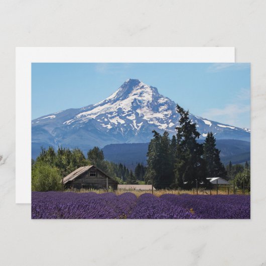 Hood Lavender Fields Blank Kaart (Voorkant / Achterkant)