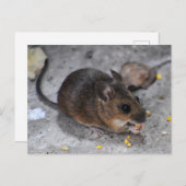Hood Mouse Briefkaart (Voorkant / Achterkant)