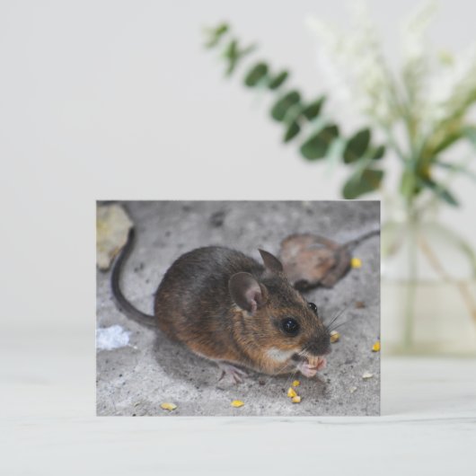 Hood Mouse Briefkaart (Staand voorkant)