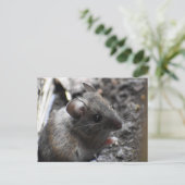 Hood Mouse Briefkaart (Staand voorkant)