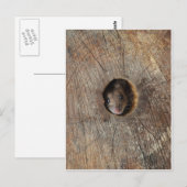 Hood Mouse Briefkaart (Voorkant / Achterkant)