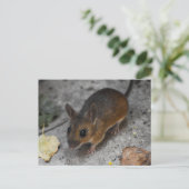 Hood Mouse Briefkaart (Staand voorkant)