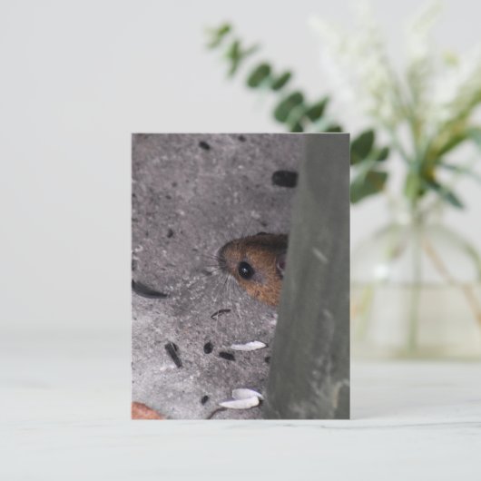 Hood Mouse Briefkaart (Staand voorkant)