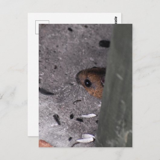 Hood Mouse Briefkaart (Voorkant / Achterkant)