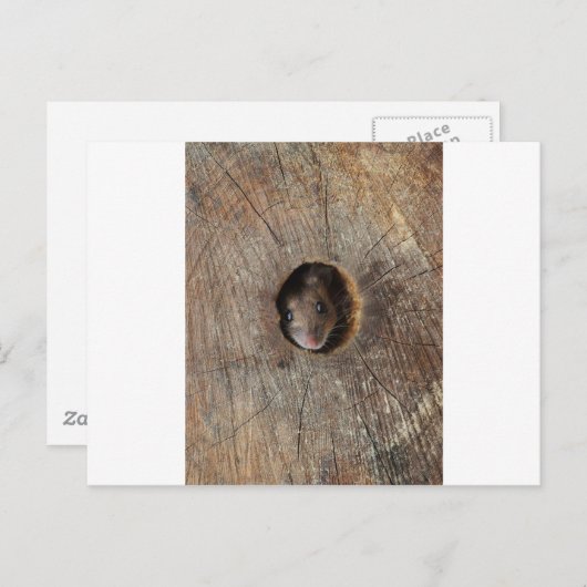 Hood Mouse Briefkaart (Voorkant / Achterkant)