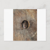 Hood Mouse Briefkaart (Voorkant)