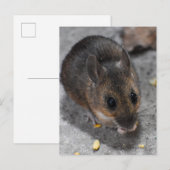 Hood Mouse Briefkaart (Voorkant / Achterkant)