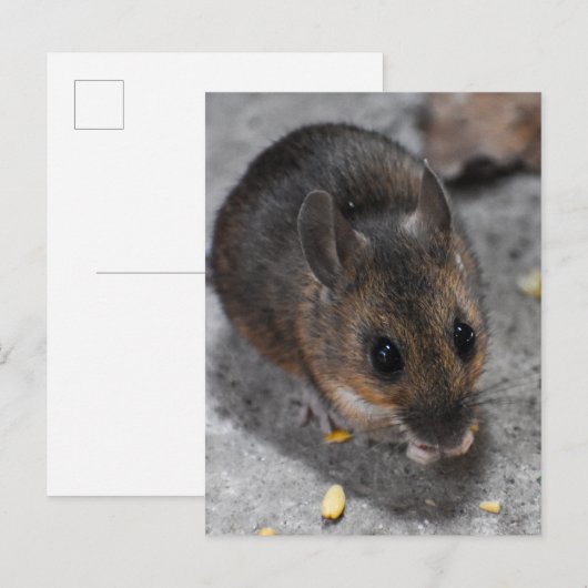 Hood Mouse Briefkaart (Voorkant / Achterkant)