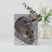 Hood Mouse Briefkaart (Staand voorkant)