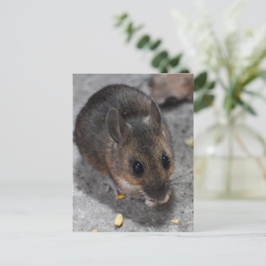 Hood Mouse Briefkaart (Staand voorkant)