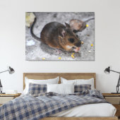 Hood Mouse Canvas Afdruk (Insitu (Slaapkamer))