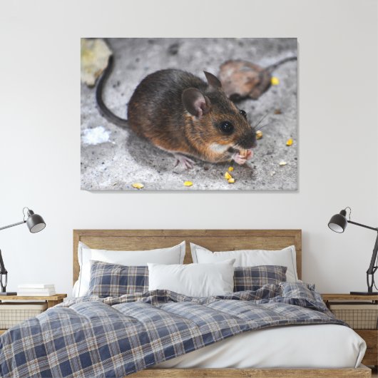 Hood Mouse Canvas Afdruk (Insitu (Slaapkamer))