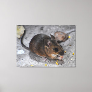 Hood Mouse Canvas Afdruk