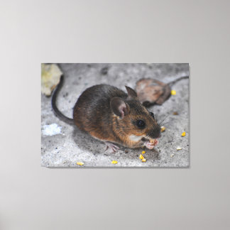 Hood Mouse Canvas Afdruk