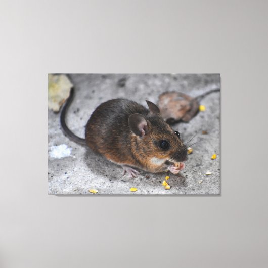 Hood Mouse Canvas Afdruk (Voorkant)