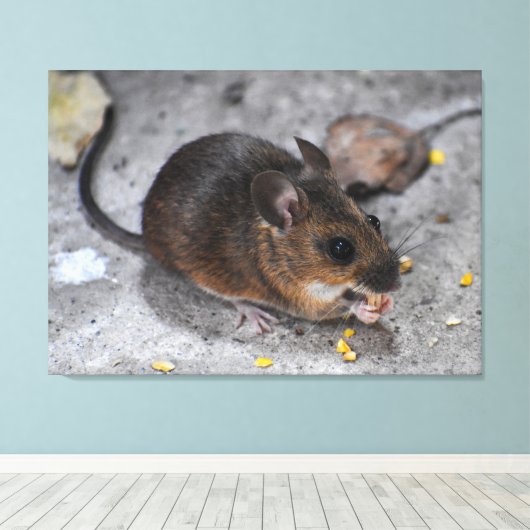 Hood Mouse Canvas Afdruk (Insitu (Houten vloer))