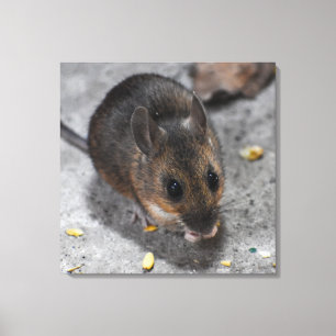 Hood Mouse Canvas Afdruk