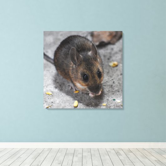 Hood Mouse Canvas Afdruk (Insitu (Houten vloer))