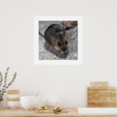 Hood Mouse Poster (Keuken)