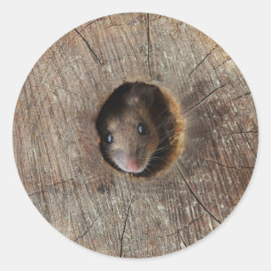 Hood Mouse Ronde Sticker