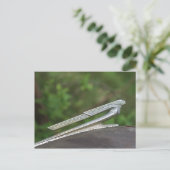  Hood Ornament Briefkaart (Staand voorkant)