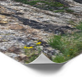 Hood Tunnel, Needles Highway, South Dakota Poster (Hoek)