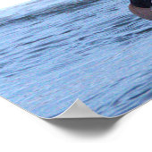 Hooded Merganser Duck Poster (Hoek)