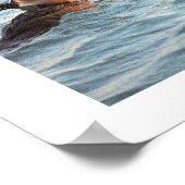 Hooded Merganser Ducks Poster (Hoek)