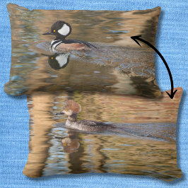 Hooded Mergansers Zwemmen op Creek Schilderachtig Kussen