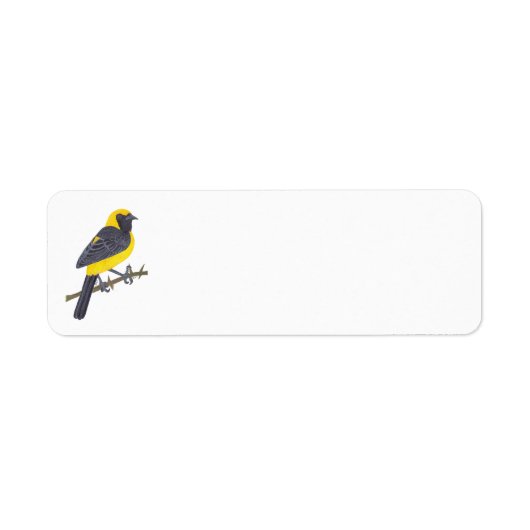 HOODED ORIOLE ETIKET (Voorkant)