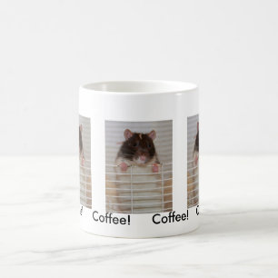 Hooded Rattie wil aandacht Koffiemok