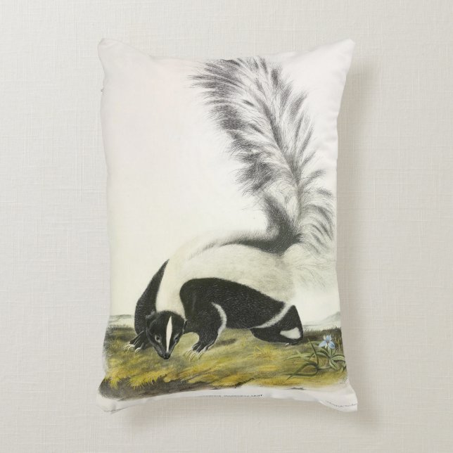 Hooded Skunk of Large-tailed Skunk van Audubon Accent Kussen (Voorkant(Verticaal))