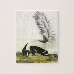 Hooded Skunk of Large-tailed Skunk van Audubon Legpuzzel